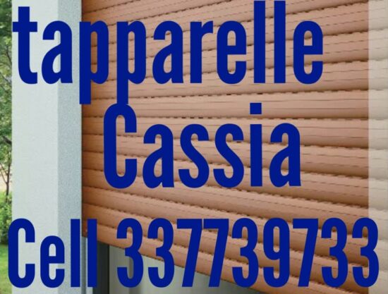337739733 Dario. RIPARAZIONE SERRANDE AVVOLGIBILI e TAPPARELLE CON O SENZA MOTORE , CAMBIO MOLLE . FORNITURA NUOVE TAPPARELLE IN PLASTICA ALLUMINIO E ACCIAIO , CAMBIO CINTE e ACCESSORI .